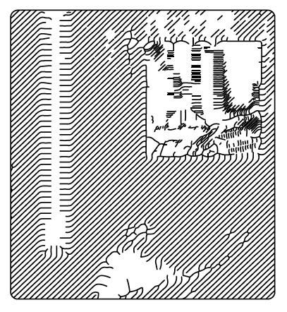 skull_city